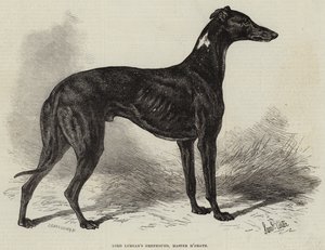 Lord Lurgan